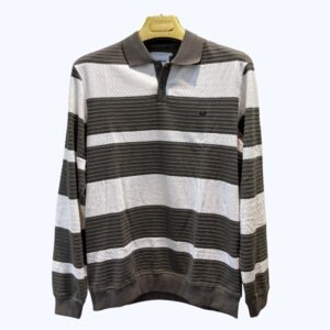 Men's Polo T-Shirt Full Sleeves Regular Fit